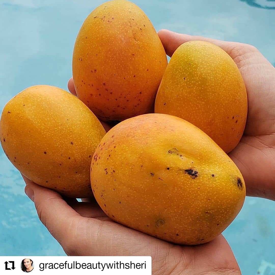 Reshape The Facial Beauty With Microneedling Serum